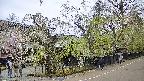 area4-20250428163041.jpg