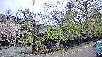 area4-20250428165040.jpg
