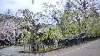 area4-20250428173041.jpg
