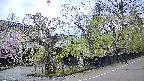 area4-20250428175039.jpg