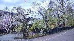 area4-20250428181039.jpg