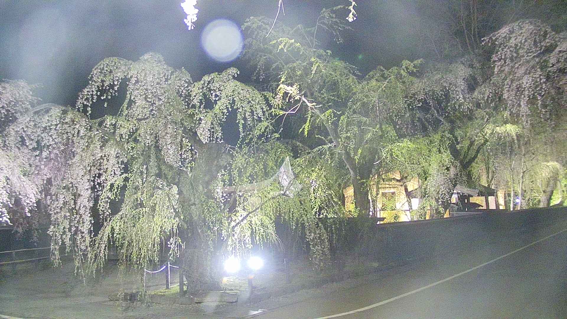 area4-20250428211041.jpg