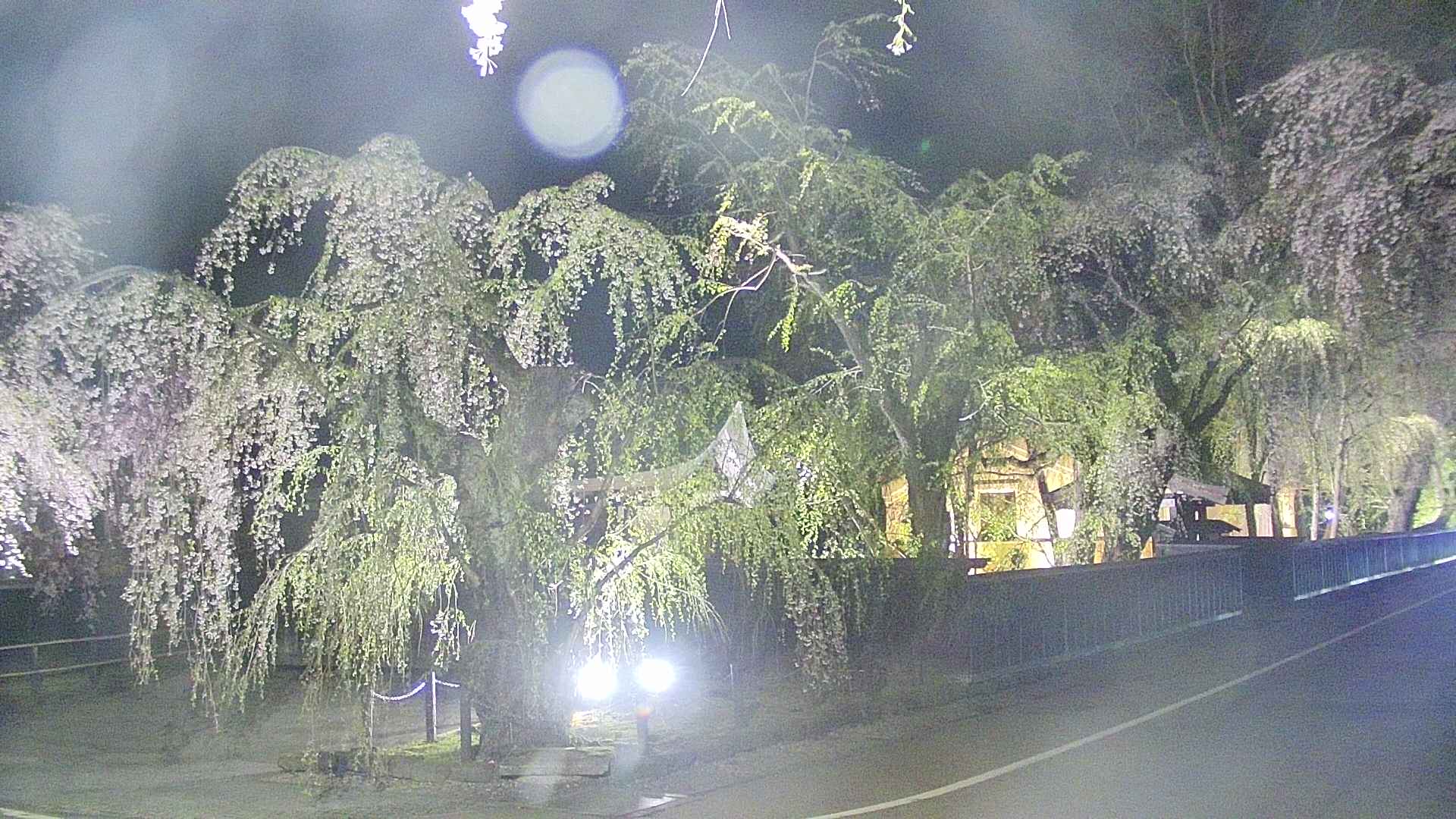area4-20250428212041.jpg