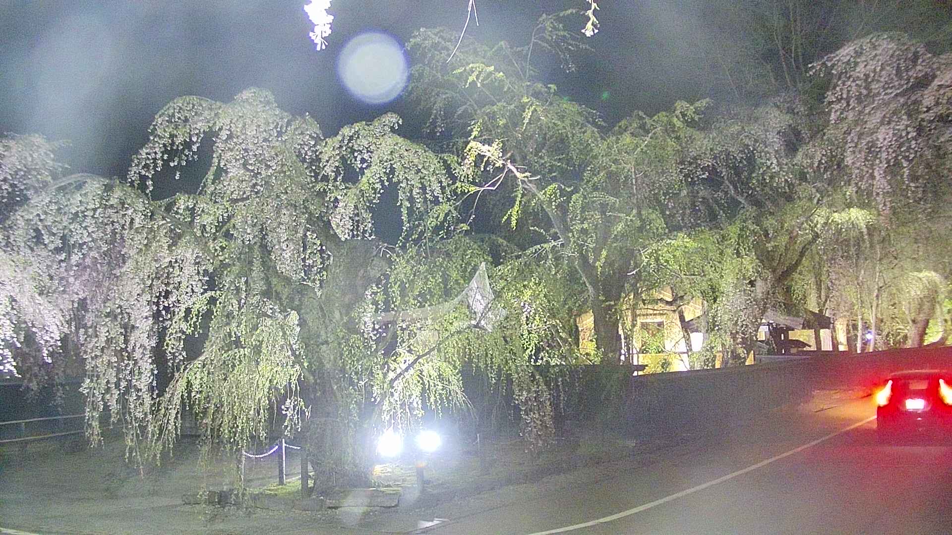 area4-20250428213039.jpg