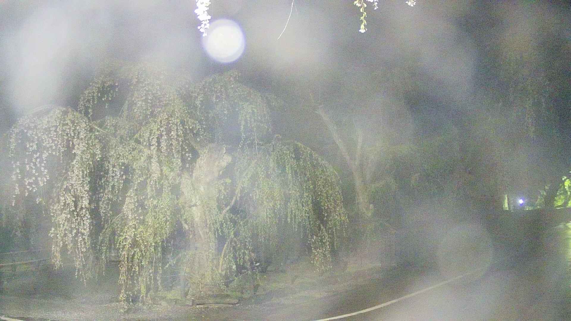 area4-20250429033041.jpg