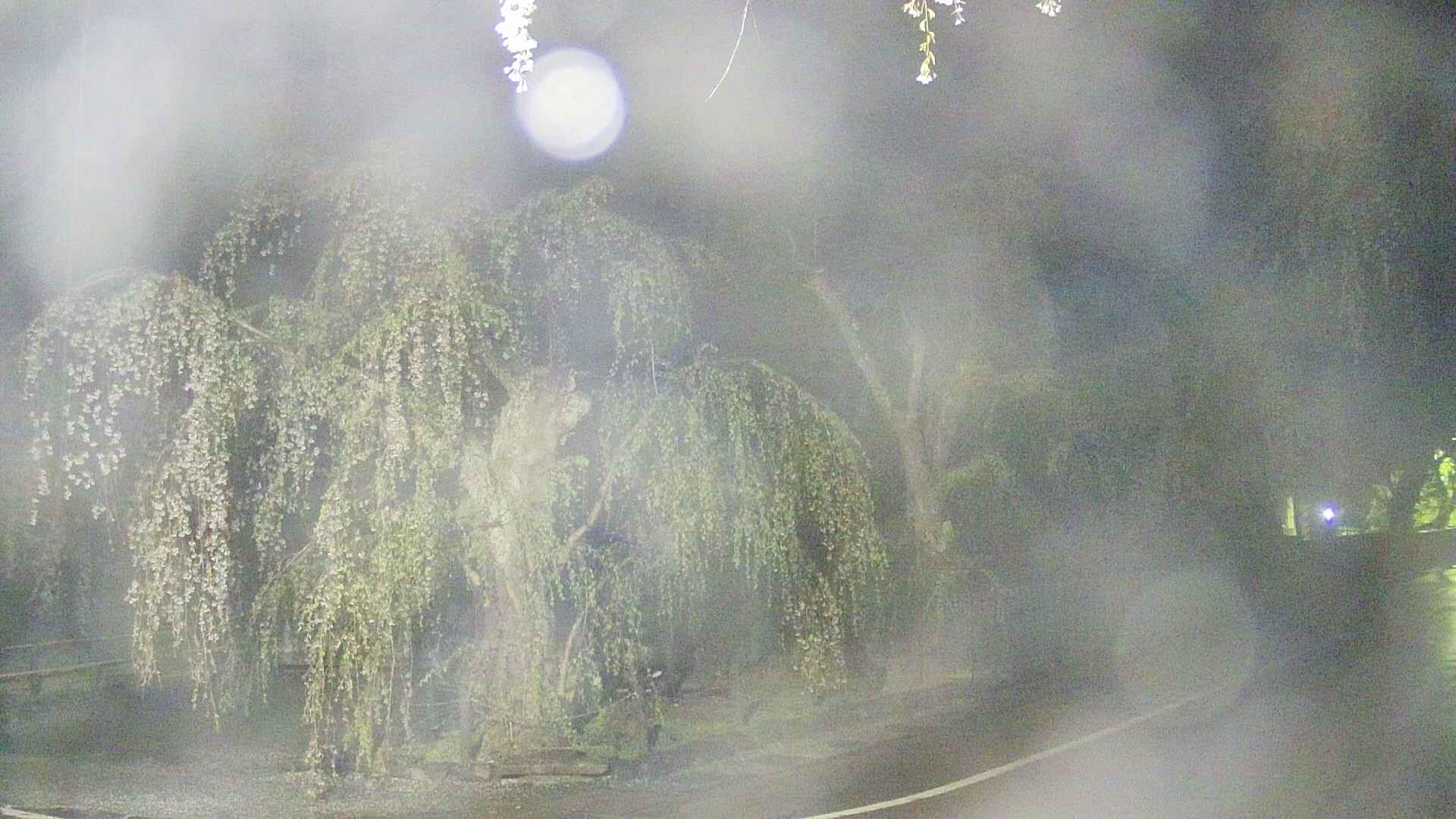 area4-20250429034039.jpg
