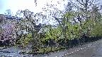 area4-20250429051040.jpg