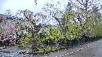area4-20250429053040.jpg
