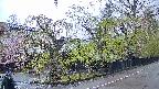 area4-20250429060041.jpg