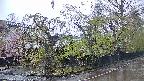 area4-20250429072040.jpg