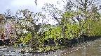 area4-20250429080040.jpg
