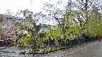 area4-20250429171040.jpg
