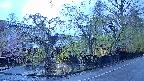 area4-20250429182039.jpg