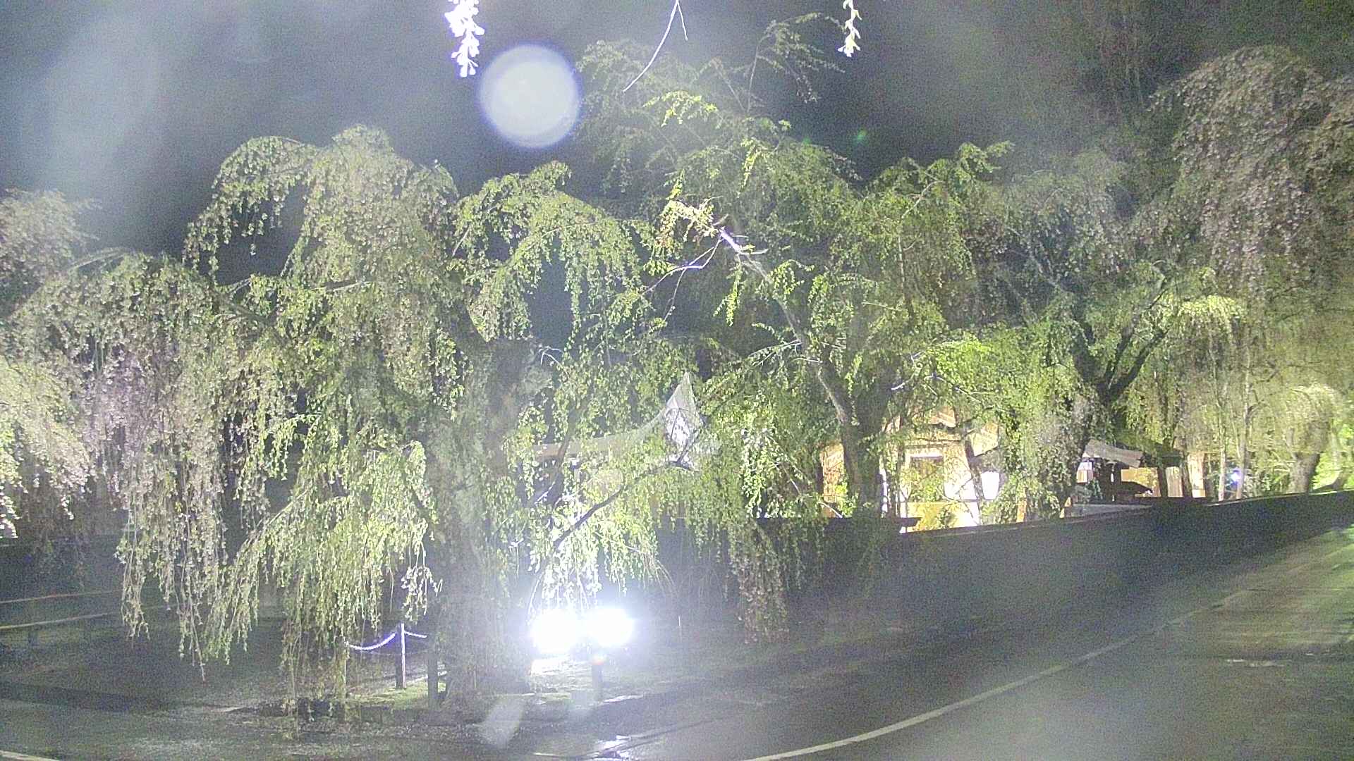 area4-20250429211041.jpg