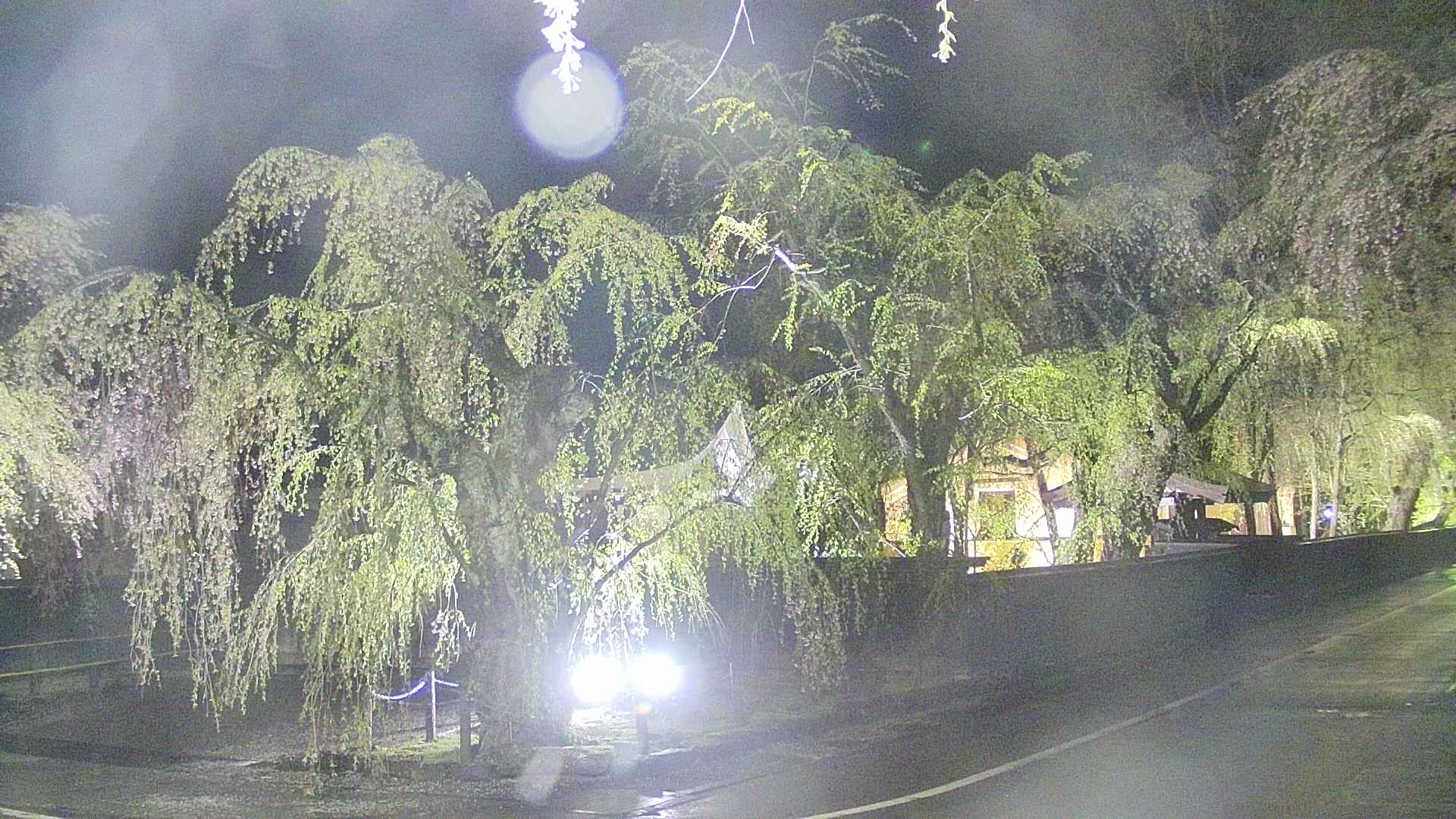 area4-20250429215040.jpg