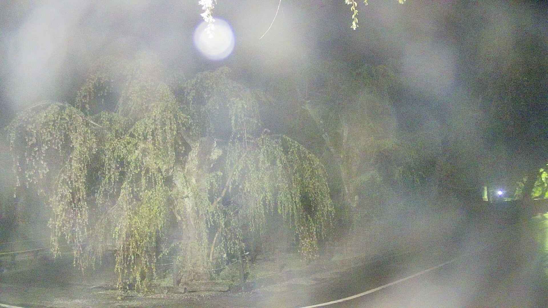area4-20250430024039.jpg