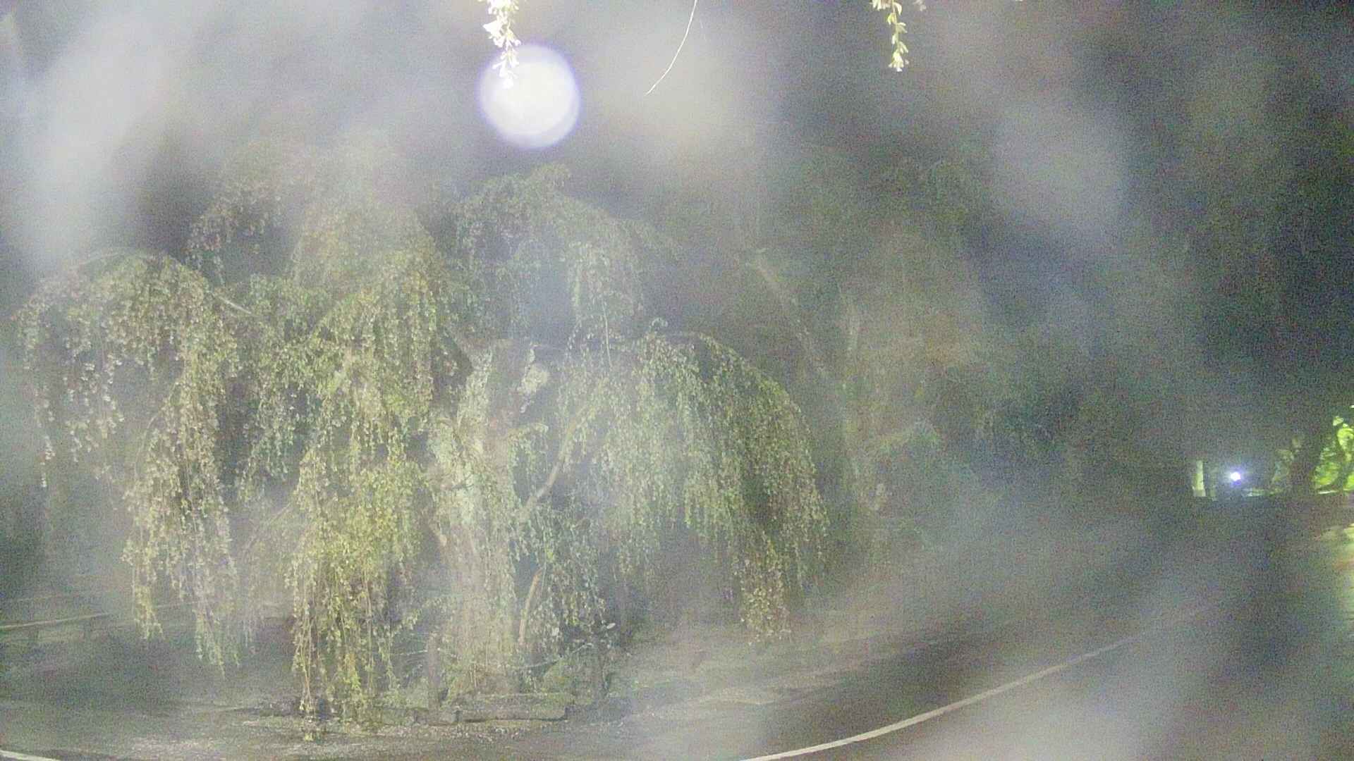 area4-20250430033041.jpg