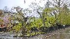 area4-20250430063041.jpg