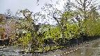 area4-20250430065041.jpg