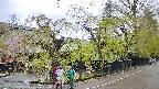 area4-20250430104040.jpg