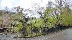 area4-20250430105040.jpg