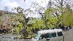 area4-20250430111040.jpg
