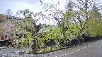 area4-20250430113041.jpg