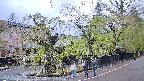 area4-20250430121041.jpg