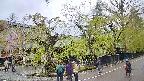 area4-20250430122041.jpg
