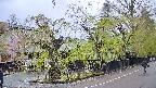 area4-20250430124039.jpg