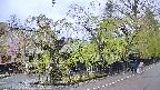 area4-20250430151041.jpg