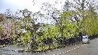area4-20250430163040.jpg
