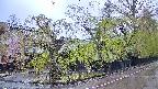 area4-20250430170041.jpg