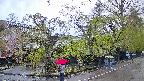 area4-20250430173040.jpg