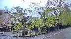 area4-20250430180039.jpg