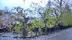 area4-20250430181039.jpg