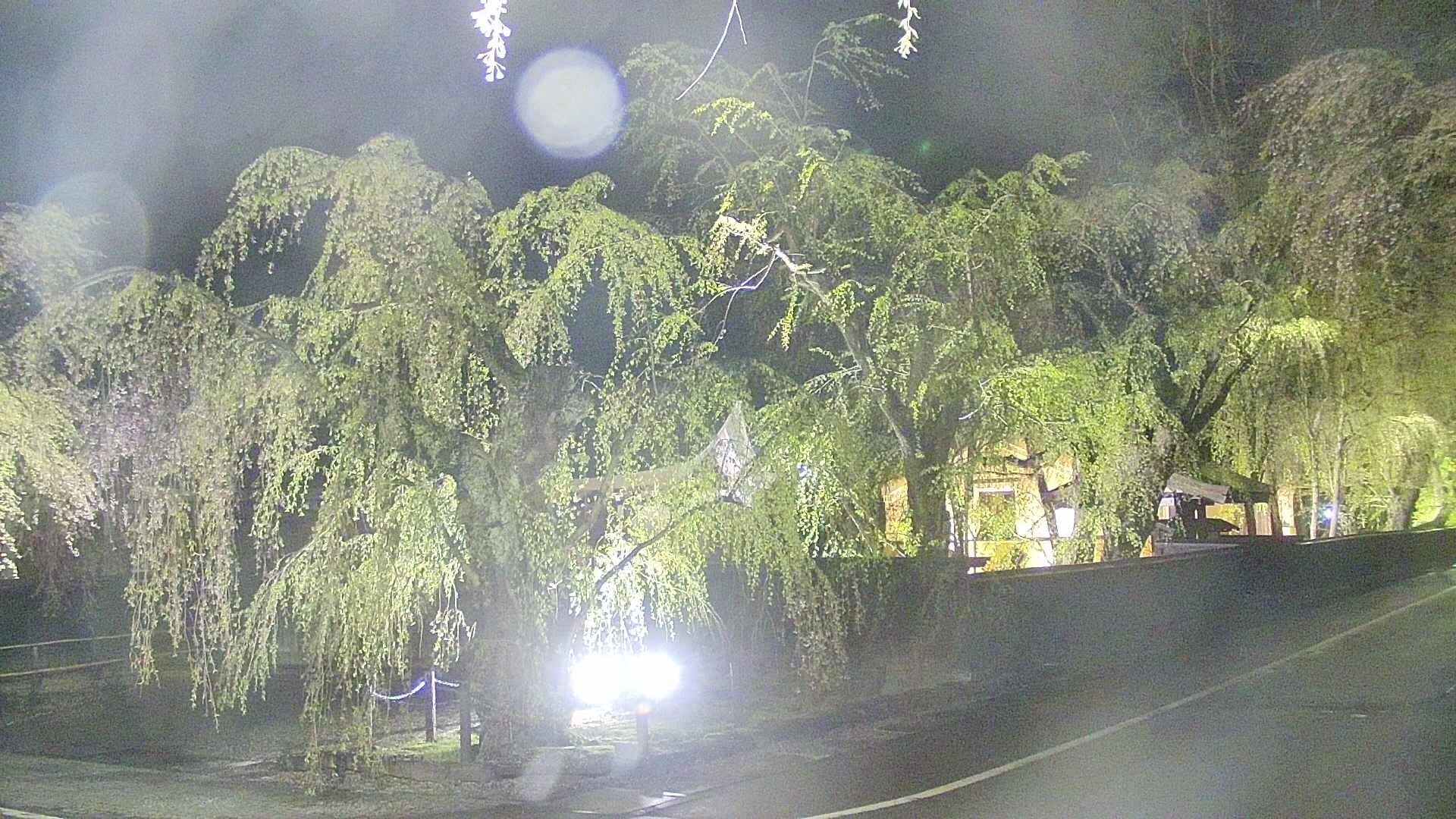 area4-20250430211040.jpg