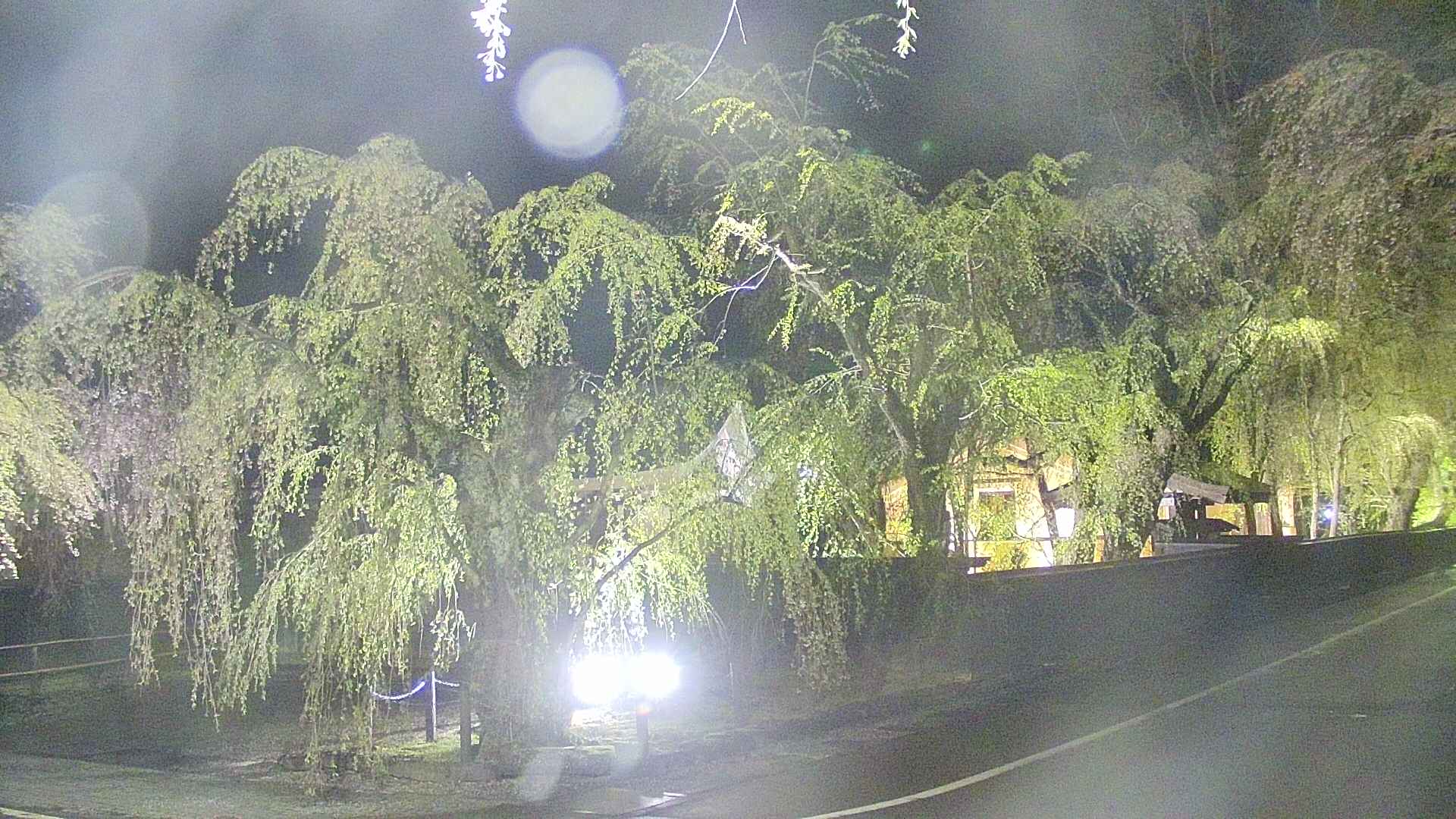 area4-20250430215040.jpg