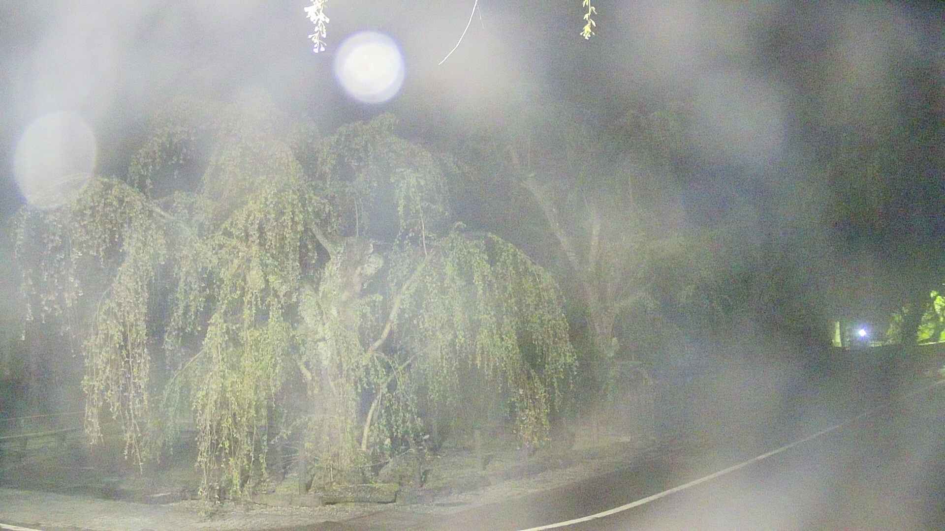 area4-20250501023041.jpg