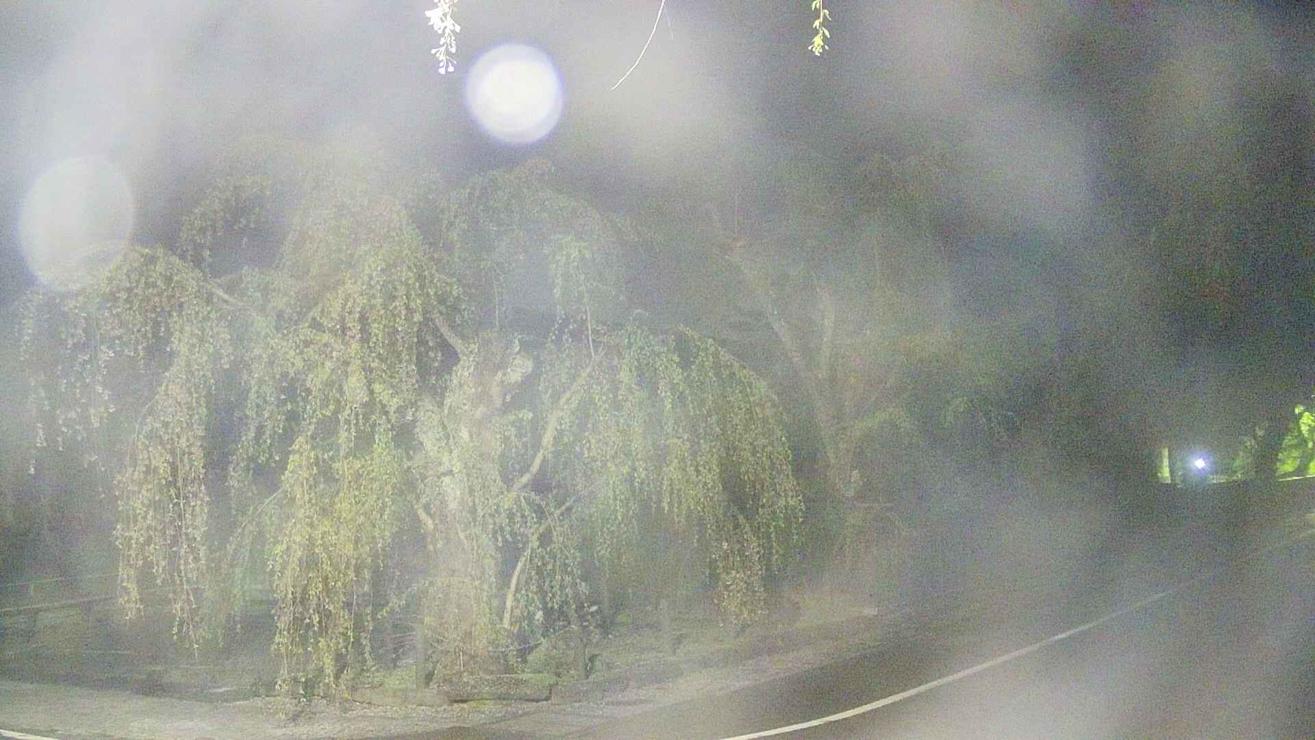 area4-20250501031041.jpg