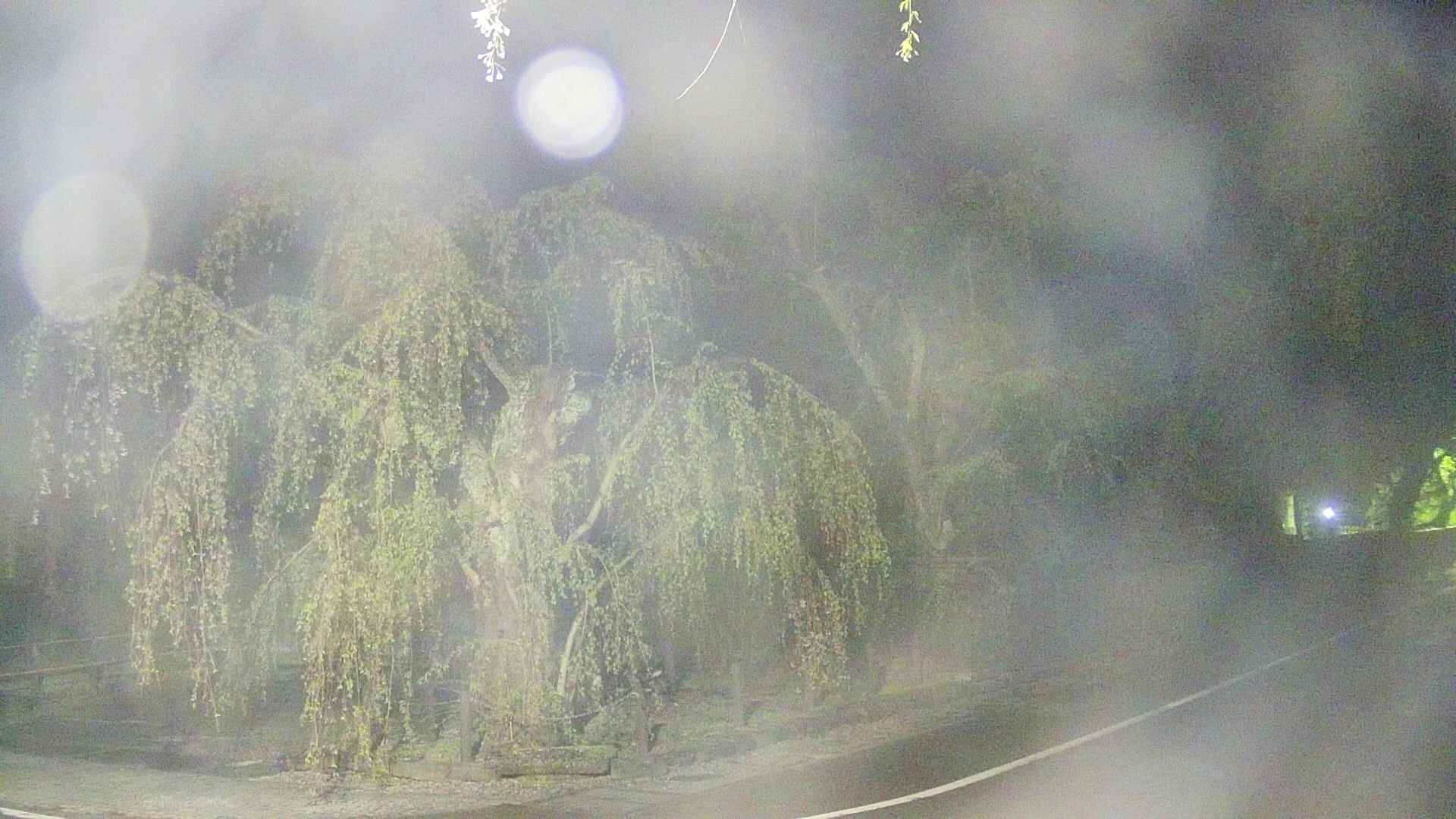 area4-20250501032041.jpg