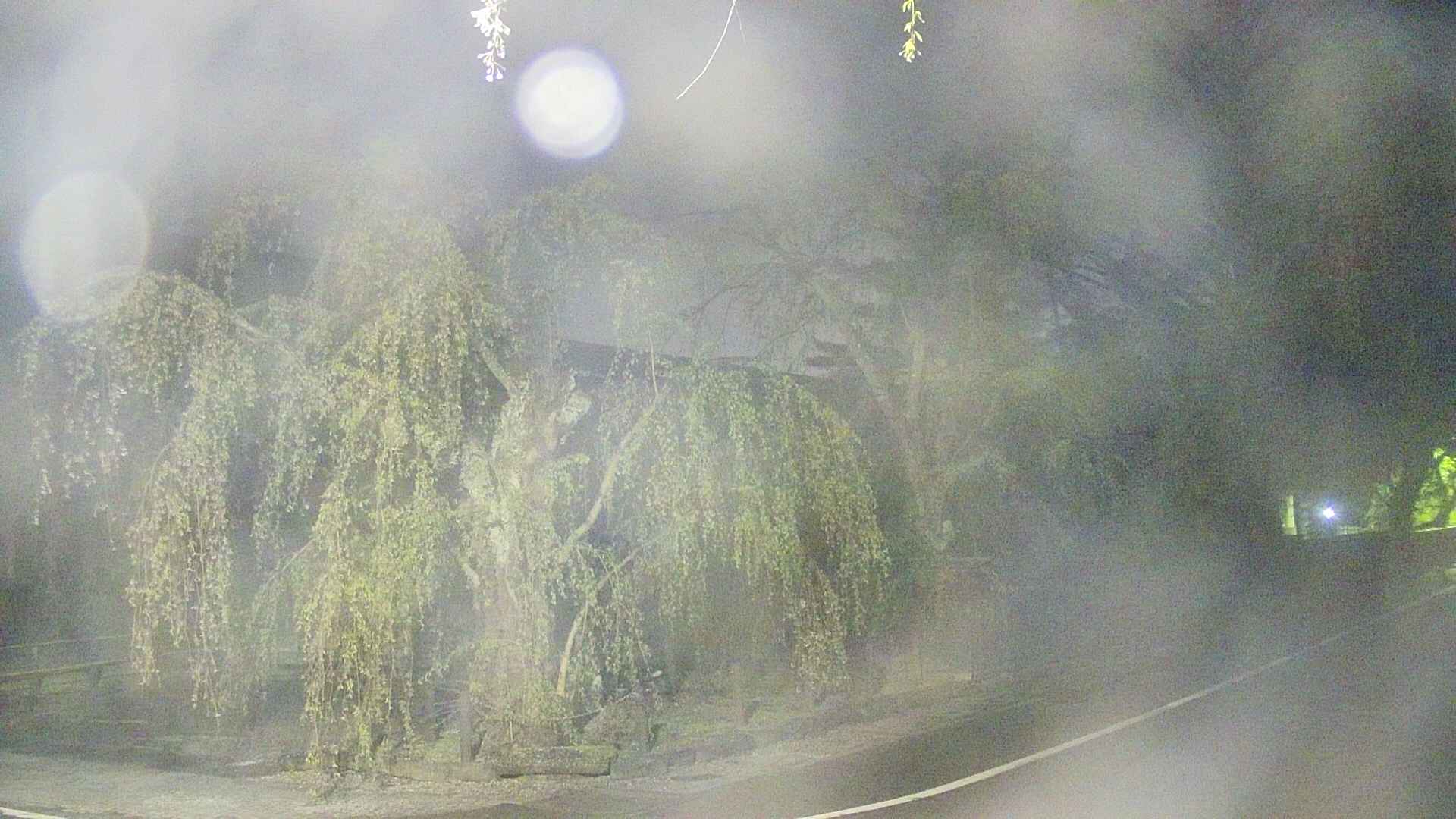 area4-20250501034041.jpg