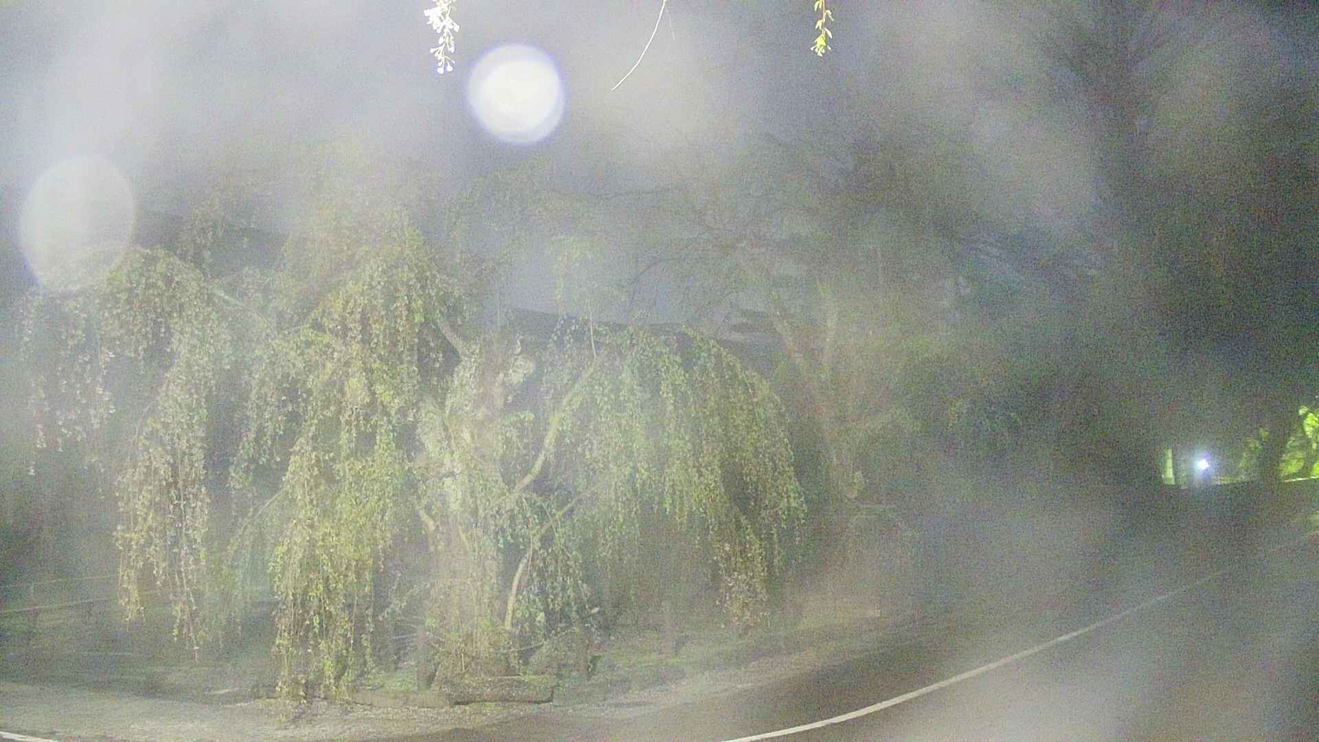 area4-20250501035040.jpg