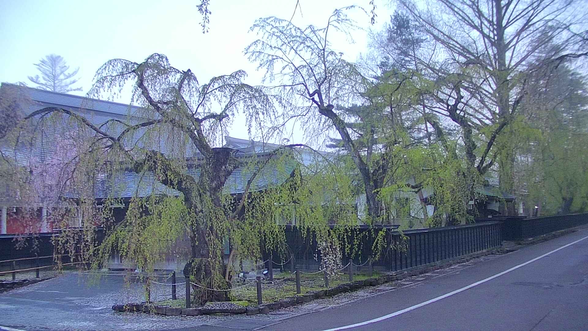 area4-20250501044041.jpg