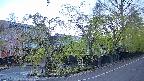 area4-20250501050040.jpg