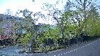 area4-20250501051041.jpg