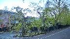 area4-20250501052040.jpg