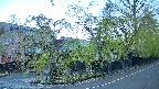 area4-20250501053042.jpg