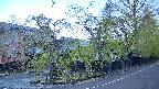 area4-20250501055041.jpg