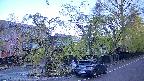 area4-20250501060040.jpg